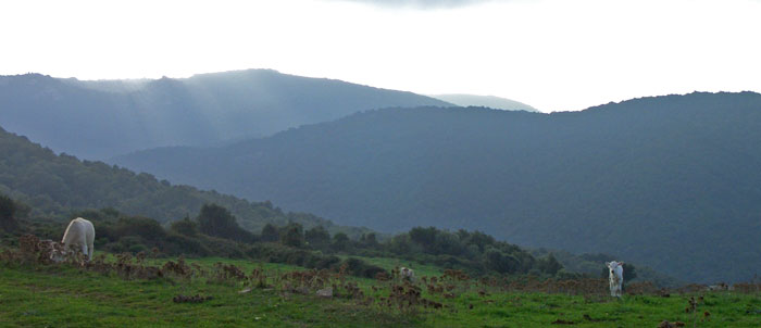 Foto panorama Monte del Minerale