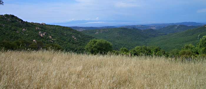Foto Valle di Litarru