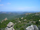 Foto Scarracciana